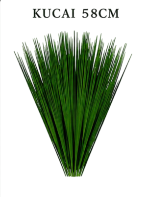 Kucai 58cm
